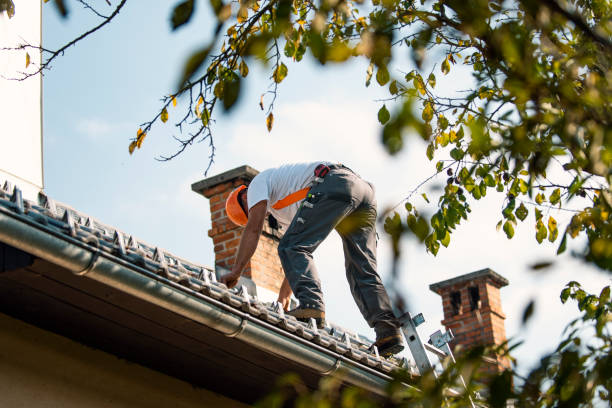 Best Roof Gutter Cleaning  in Terrace Heights, WA