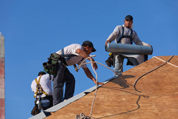 Best Best Roofing Contractors  in Terrace Heights, WA