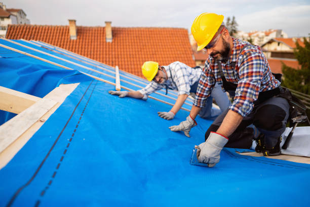 Best Gutter Installation and Roofing  in Terrace Heights, WA