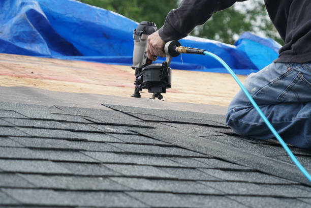 Best Roof Maintenance Services  in Terrace Heights, WA