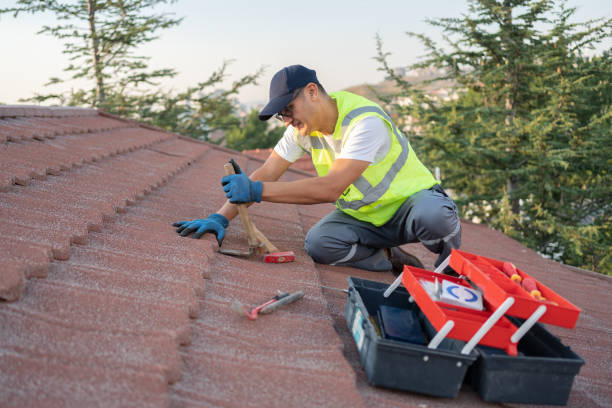 Best Metal Roofing Contractor  in Terrace Heights, WA