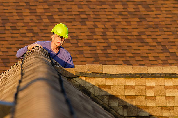 Best Roof Waterproofing Services  in Terrace Heights, WA