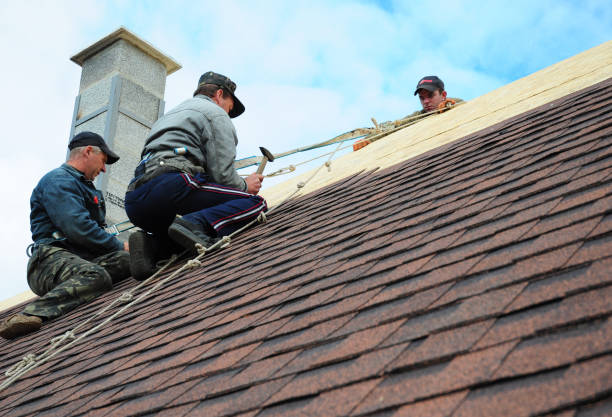 Best Storm Damage Roof Repair  in Terrace Heights, WA