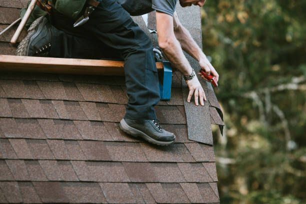 Best Roof Repair Specialists  in Terrace Heights, WA