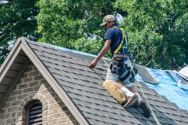 Best Gutter Installation and Roofing  in Terrace Heights, WA